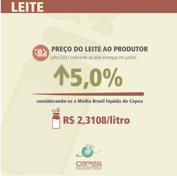 A elevação dos preços não reflete aumento de rentabilidade – mas, sim, pressão de custos.