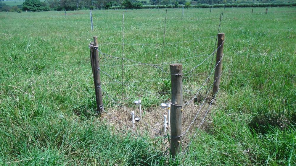 Os pesquisadores realizaram um experimento em pastagem — cinco hectares de estrela africana branca — de uma propriedade leiteira no município de Terra Rica. Foto IDR-Paraná.