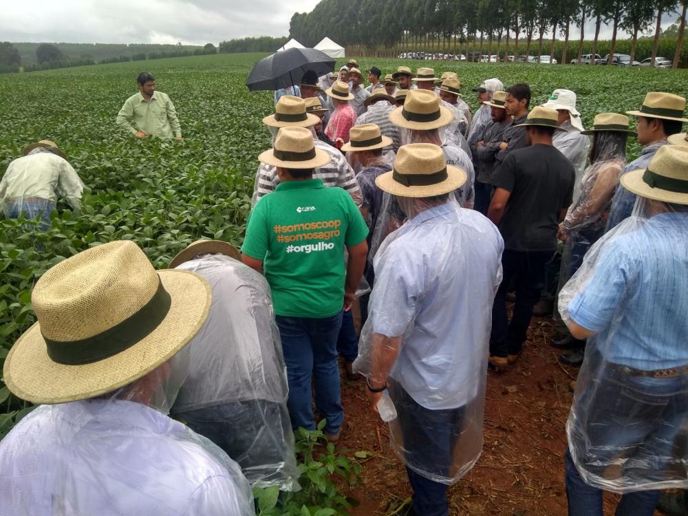 Em fevereiro, a cooperativa realizou o evento em Curiúva, Wenceslau Braz e Arapoti, no Paraná; e em Itaberá, São Paulo. O Tec Campo é exclusivo aos associados da CAPAL.