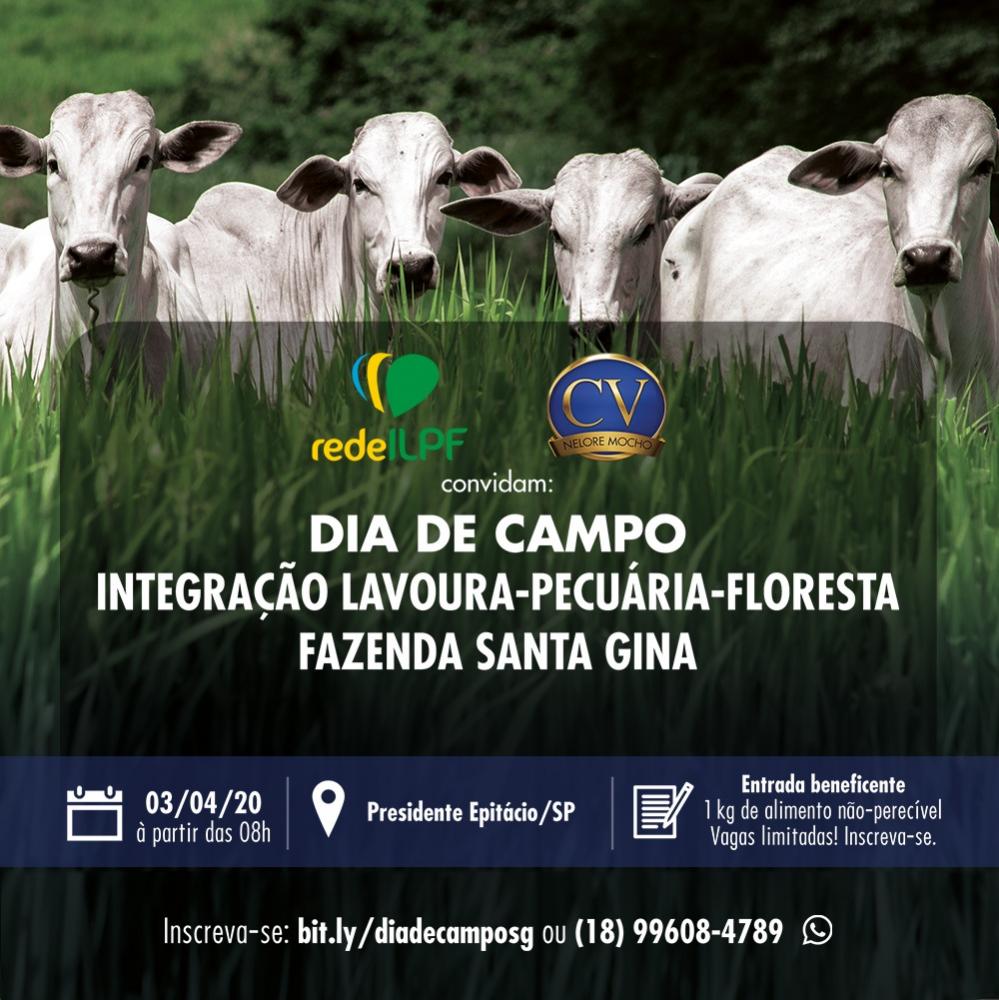 A ILPF é um importante sequestrador de carbono. O Brasil, durante a conferência de Paris, aceitou o compromisso de introduzir a ILPF em, no mínimo, 15 milhões de hectares.