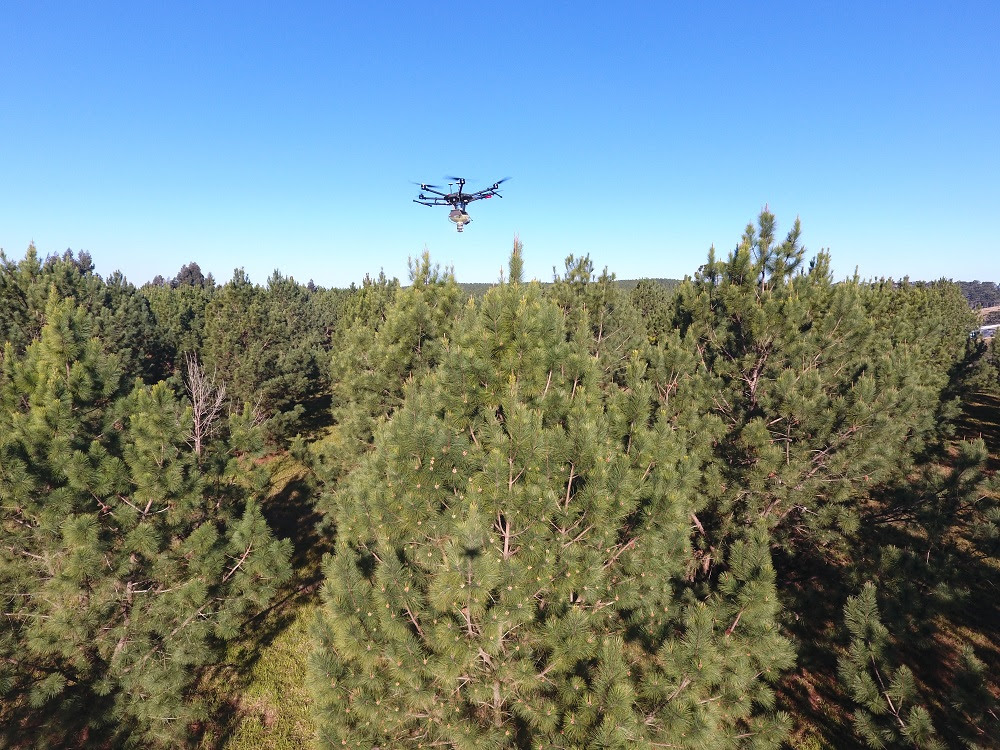 A demonstração foi realizada pela Kolecti, parceria exclusiva nos serviços de polinização com drone com a empresa americana Dropcopter.