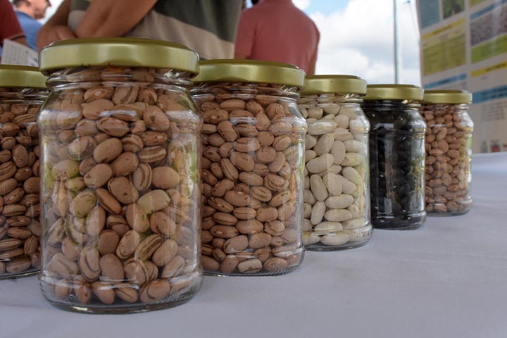 O mercado operou estável, tanto que os poucos negócios praticados, mantiveram os preços de ontem.