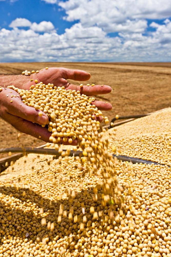 A BASF apresenta ao mercado o fungicida Aumenax® para o controle de doenças como a ferrugem asiática da soja durante a 21ª Expodireto Cotrijal, em Não-Me-Toque (RS). A novidade estará disponível para os agricultores na safra 2020/21.