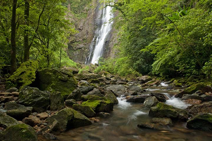 O novo modelo trazido pela Fundação Grupo Boticário de Proteção à Natureza – que há 30 anos apoia iniciativas ambientais em todo o País. Foto: Salto Morato - Crédito José Paiva
