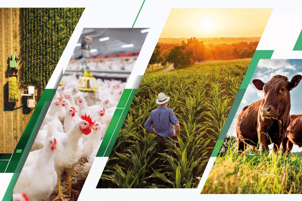 O proprietário rural que declarar o ITR fora do prazo pagará multa de 1% ao mês, calculada sobre o total do imposto devido. As regras de pagamento mantêm-se em caso de atraso.