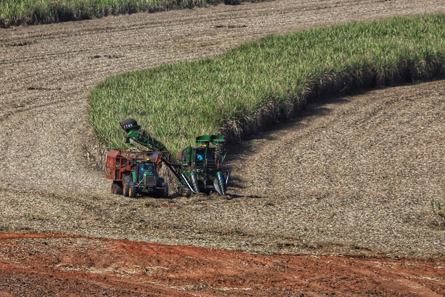 Tecnologia e produtividade fazem a cana-de-açúcar voltar a brilhar no Norte Pioneiro. Na foto, Joaquim Elias Carvalho Simão. Foto: José Fernando Ogura/AEN