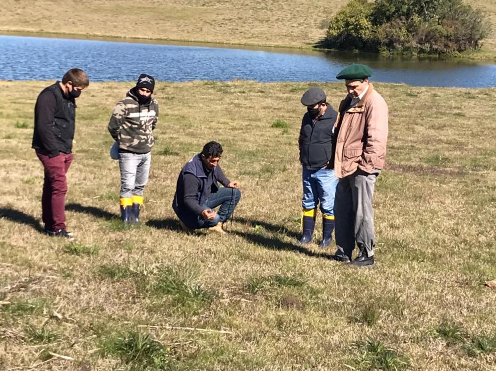  A equipe da Embrapa Gado de Corte inserida no projeto Controle de Carrapato esteve em visita a campo na propriedade rural de Márcia Duarte, em Canguçu/RS, para início do projeto.