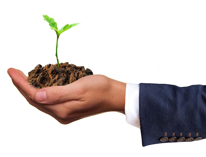A multifuncionalidade da agricultura está intimamente relacionada à questão da sustentabilidade que a cada dia ganha maior espaço junto a sociedade.