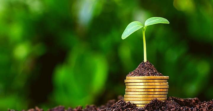 Titulos Verdes podem ser um bom aliado do agronegócio, acontece no dia 24 de agosto, às 16 horas, um Webinar na plataforma do Conacredi +. 