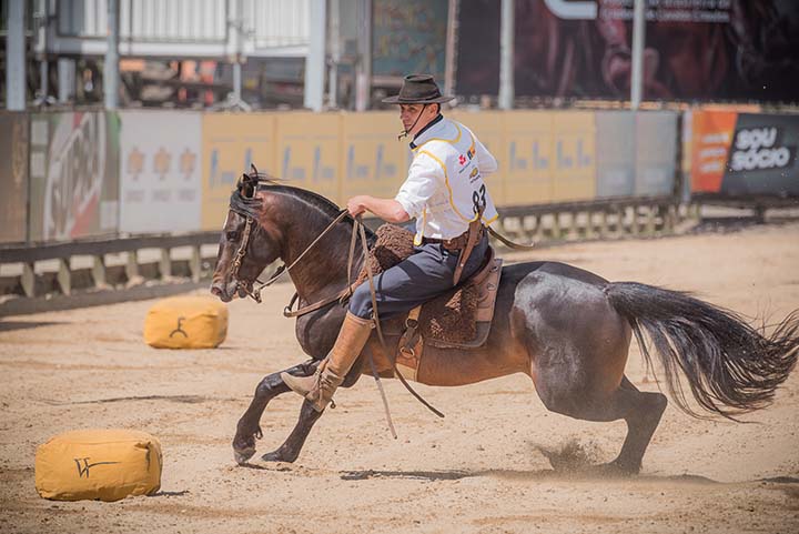 A Supercopa ocorrerá entre a Classificatória Aberta para a final do Freio de Ouro e a Morfologia, que também é um evento ímpar.Fagner Almeida/Divulgação