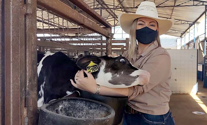 A Caravana do Leite é uma iniciativa público-privada, pois contou com recursos de agência de fomento e empresas. Na foto a Deputada Federal Aline Sleutjes, visita os piquetes dos bezerros. 