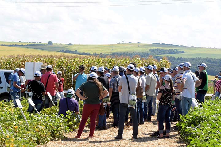A edição deste ano Centro Sul Feijão e Milho, será realizada entre os dias 3 e 6 de março, no campo experimental da Fundação ABC em Ponta Grossa, com entrada gratuita. Fotos Toninho Anhaia