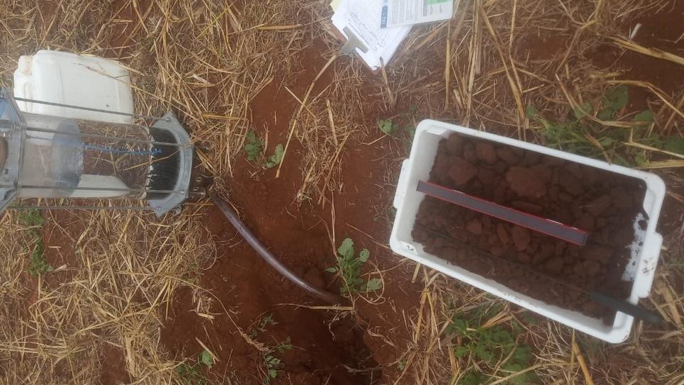 Inicialmente os extensionistas do IDR-Paraná vão acompanhar 80 propriedades nas regiões de Toledo, Cascavel, Campo Mourão, Maringá e Ivaiporã. Foto IDR-Paraná. 
