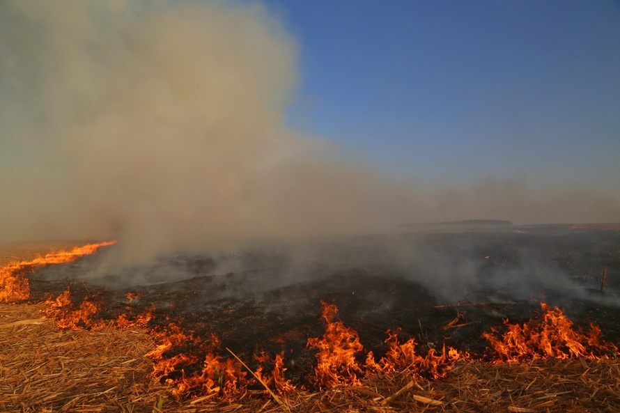 Impacto da seca vai além do abastecimento de água. Foto: Gilson Abreu/AEN
