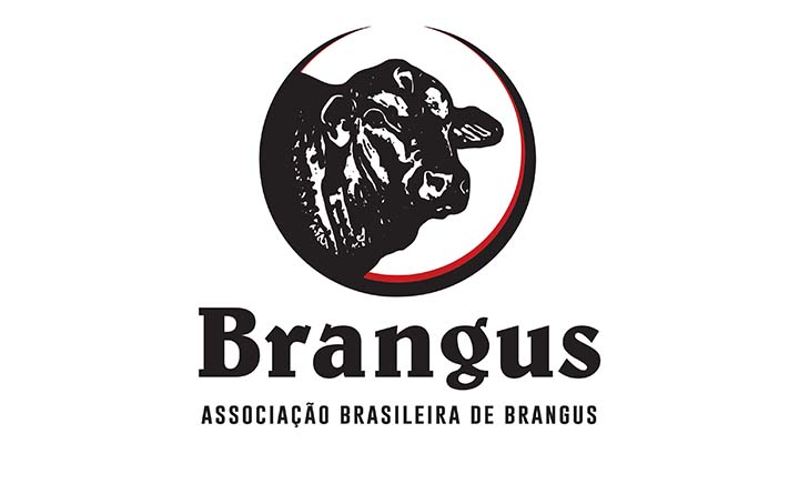 “Havia a necessidade de fazer uma marca mais forte, uma marca mais objetiva, mais clara de se enxergar, de comunicar ao mercado, de forma muito direta, que Brangus é Brangus”, explica o diretor de Marketing da ABB, João Paulo Schneider da Silva, da GAP Ge