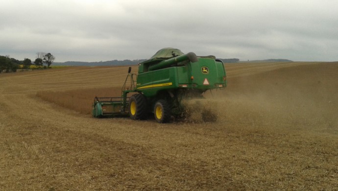O Programa de Uso Agrícola do Lodo de Esgoto que beneficia agricultores das regiões de Campo Mourão e Umuarama está completando 10 anos de aplicação no Noroeste do Paraná. 