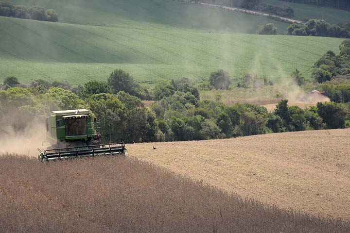 Com foco no atendimento aos pequenos e médios produtores, o Sicredi já observa, no primeiro mês do ciclo, crescimento de 48% nas contratações realizadas via Pronaf (Programa Nacional de Fortalecimento da Agricultura Familiar), com um total de R$ 1,7 bilhã