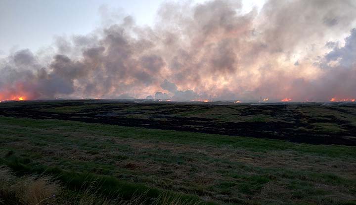São várias mudanças que ocorrem nas características físicas e químicas no solo durante um incêndio. 