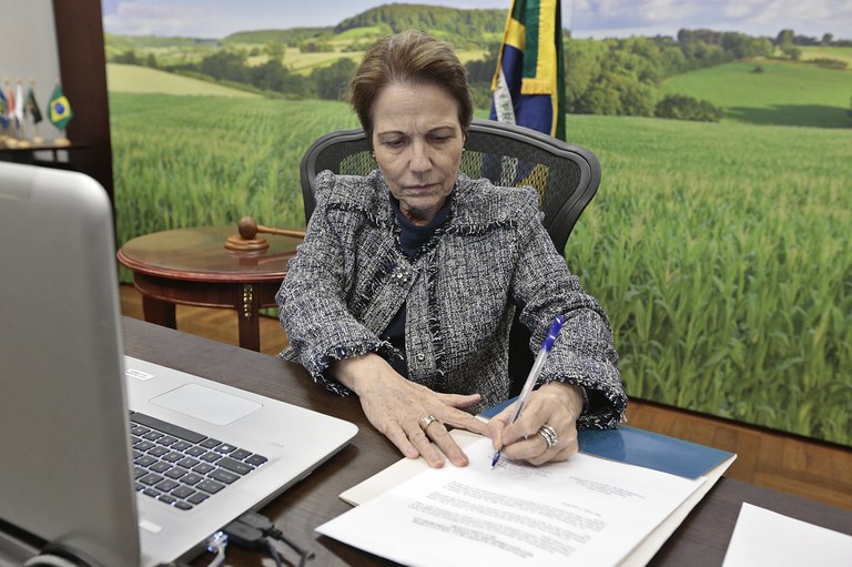 “Precisamos estar atentos pois, apesar de não ser transmissível aos humanos, a Peste Suína Africana poderá impactar a economia de nosso continente e as vidas de nossas populações. Uma ação coordenada entre nossos países é essencial”, ressaltou a ministra 