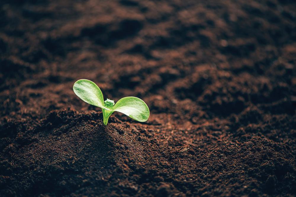O projeto faz parte de uma série de estudos promovidos pela Rede de AgroPesquisa e Formação Aplicada Paraná (Rede AgroParaná) em seis mesorregiões do Estado.