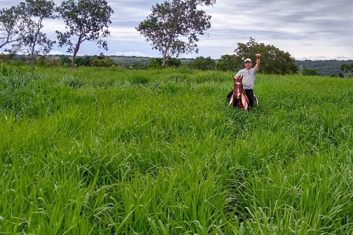 Segundo o especialista, ao evitar alguns erros que vêm se tornando recorrentes, o produtor conseguirá diminuir a incidência de invasoras, terá plantas mais vigorosas e maior oferta de matéria seca para os animais a partir da primavera.