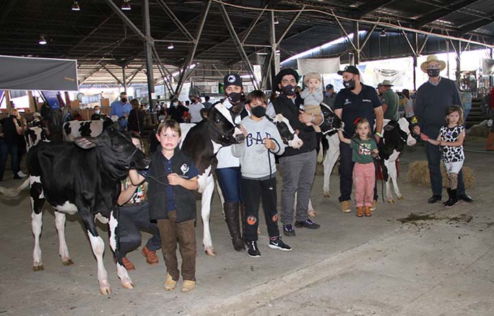 A iniciativa fomenta a continuidade da cultura leiteira, apontada pelo presidente da Gadolando, Marcos Tang, como aquela que mais fideliza a permanência das famílias produtoras no campo.