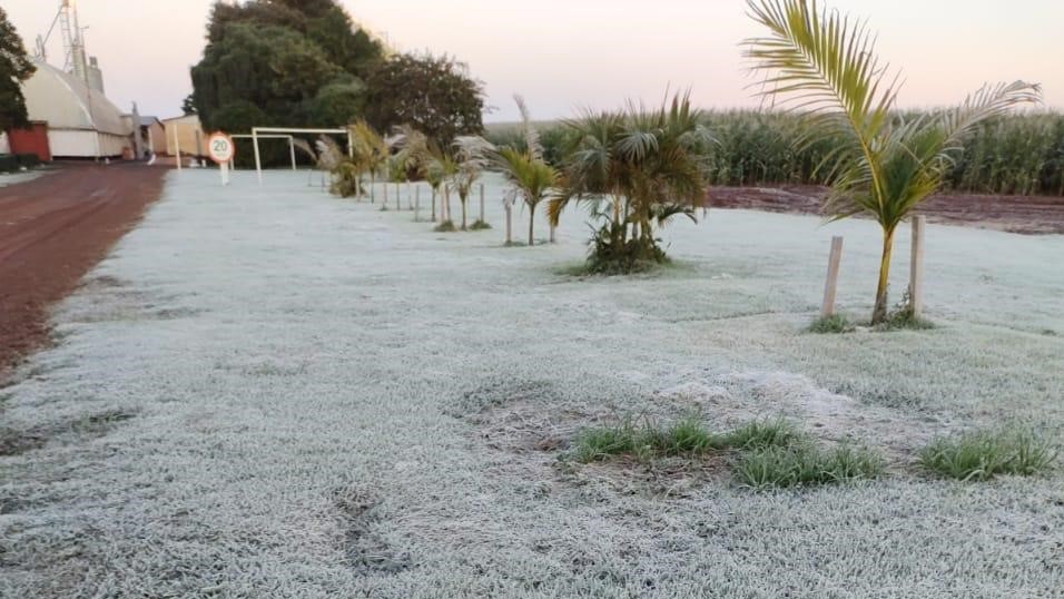 Com a aproximação da primavera, não há mais risco de ocorrência do fenômeno na zona cafeeira do Estado. 