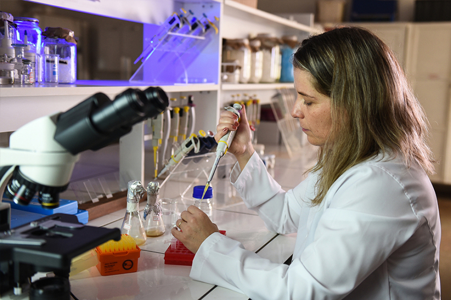 Com objetivo de combater a Ferrugem Asiática da Soja (FAS), responsável por perdas que variam de 30% a 90% na produção em diversas regiões do país, a professora do mestrado em Agronomia da Universidade Estadual do Norte do Paraná (UENP), - Curitiba, 16/09