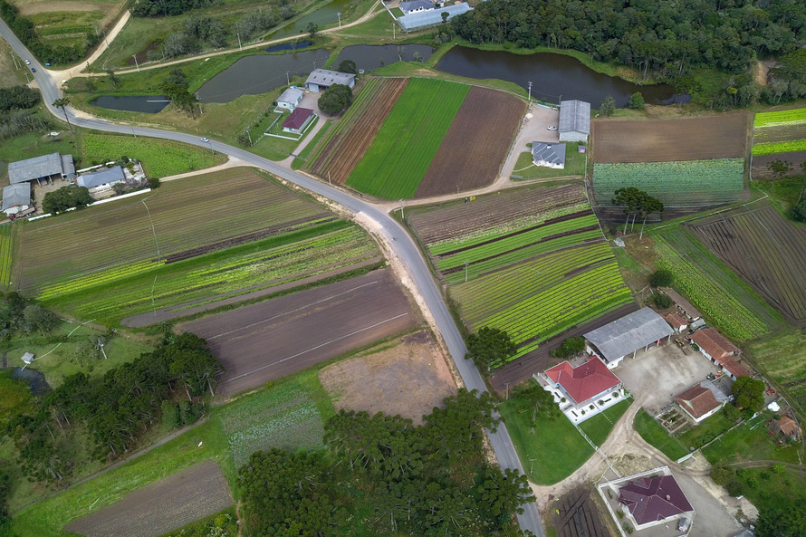 O produtor Bruno Schules, 32, de São José dos Pinhais, na Região Metropolitana de Curitiba (RMC), é um dos agricultores que trabalham com olericultura no Estado e recebem atendimento da Emater. - São José dos Pinhais, 04/04/2019 - Foto: José Fernando Ogur