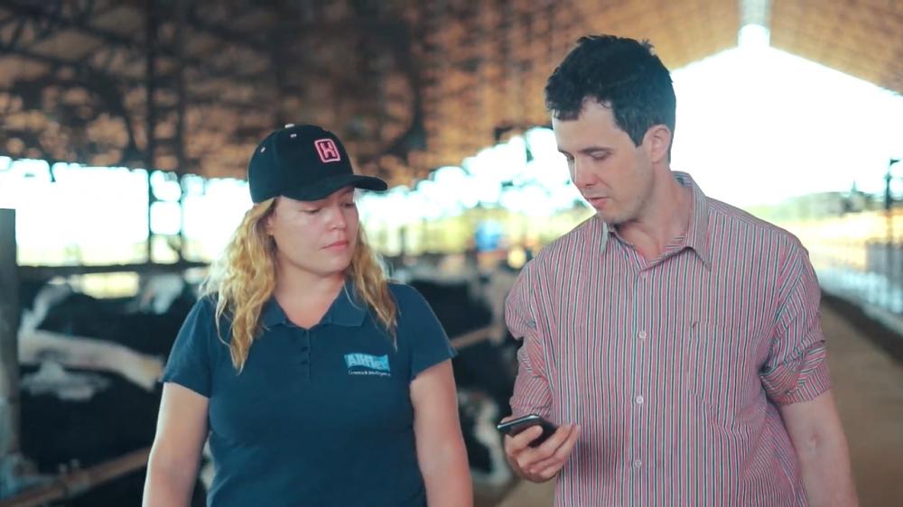 Solução desenvolvida pela Allflex, marca da MSD Saúde Animal Intelligence, trouxe ainda resultados positivos na sanidade dos animais