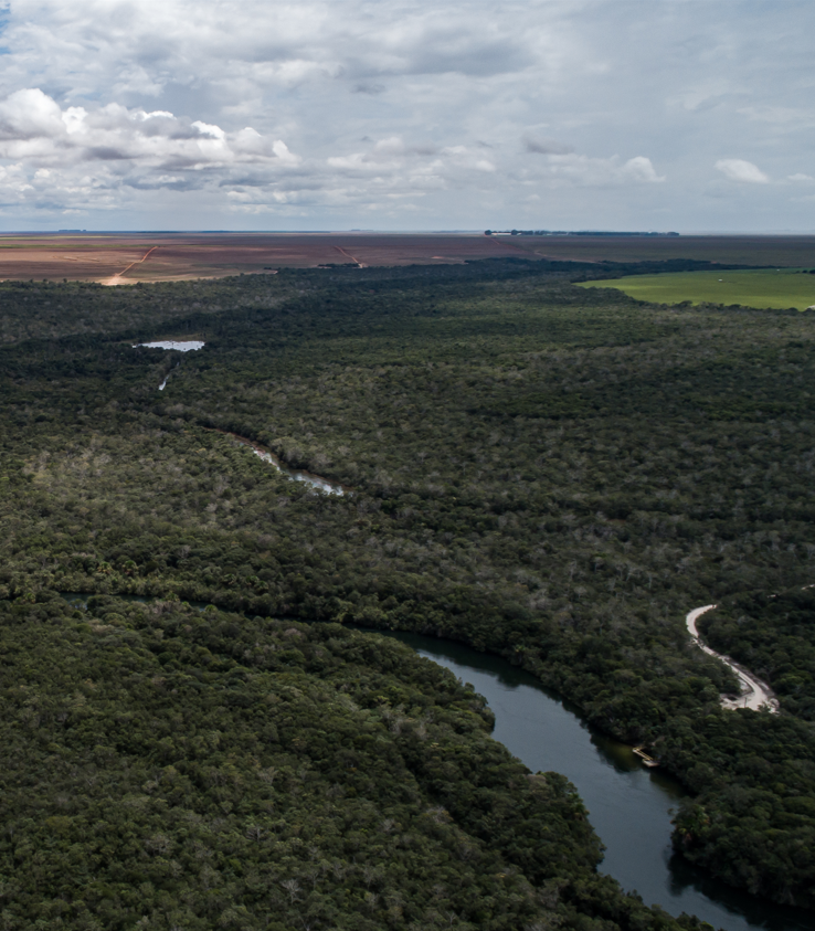 Área de preservação permanente na Fazenda Água Quente, unidade produtiva da AMAGGI em Sapezal, Mato Grosso