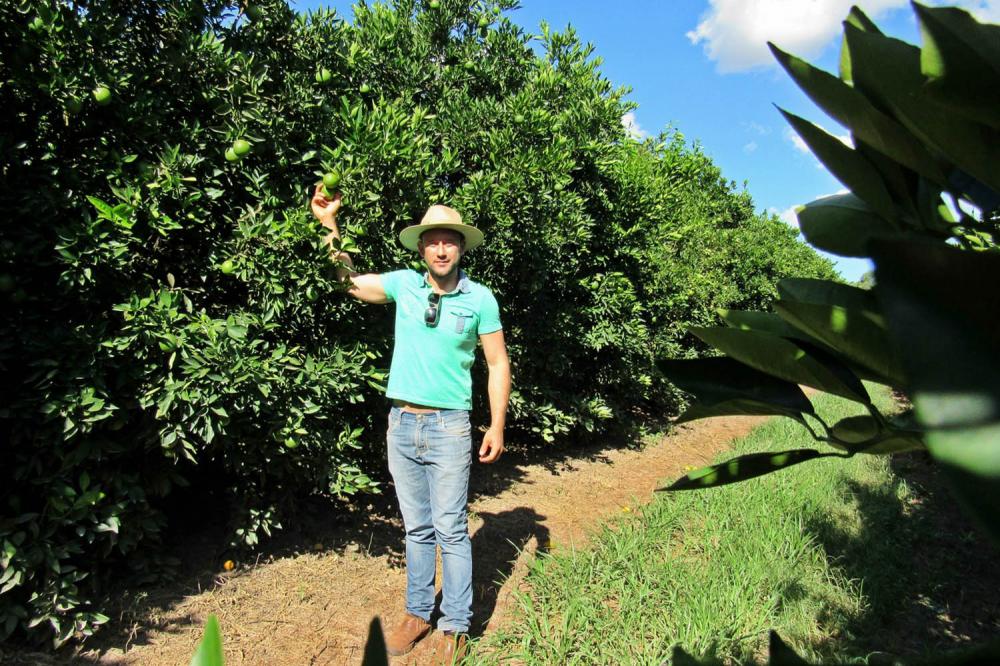 Os resultados econômicos da aplicação foram visíveis logo na primeira vez em que usou o produto, em 2019, na plantação de laranja do Sítio São Benedito. Na área que recebeu o lodo de esgoto o ganho de eficiência da produção foi de 18%.