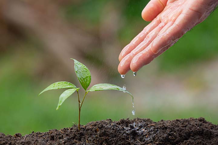 Produtos formulados com bactérias benéficas ajudam na disponibilidade do recurso para um melhor desenvolvimento das lavouras, mesmo em situações de estresse hídrico