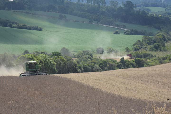 Piraí do Sul também se destacou com crescimento nominal de 47% e real de 36%, assim como Carambeí, que fica na mesma região dos Campos Gerais, com variação nominal de 46% e real de 36%. Foto Toninho Anhaia