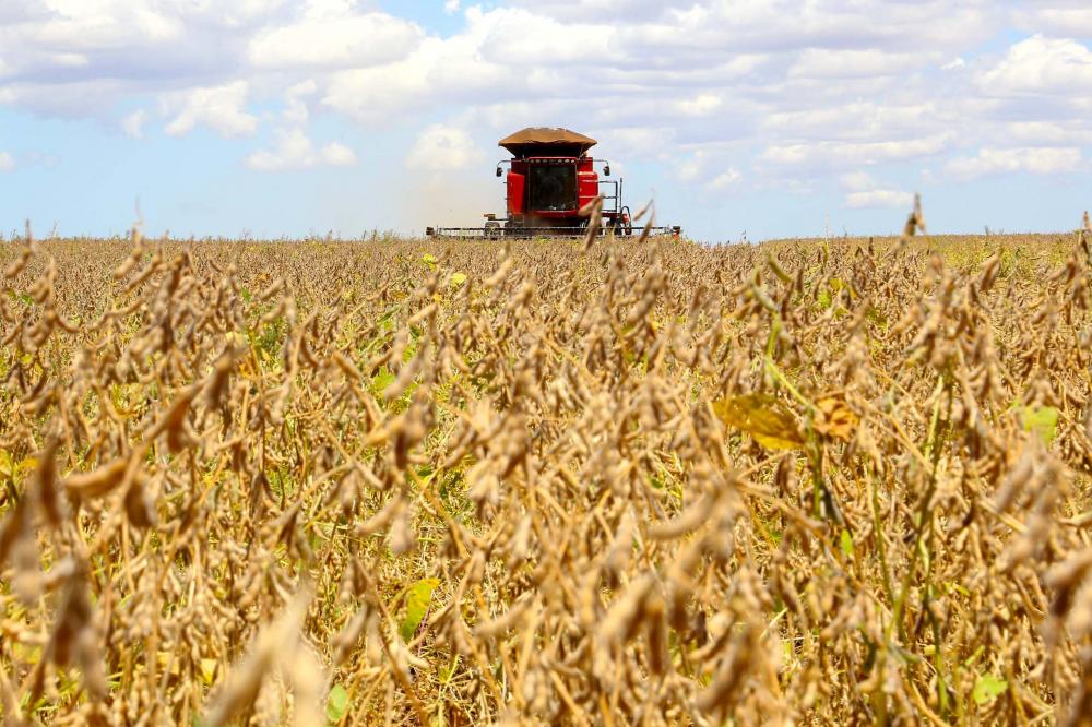 Responsáveis pela maior participação no faturamento, os produtos da agricultura podem somar R$ 38,8 bilhões ao valor total do VBP, uma participação próxima a da safra 2017/2018, que chegou a R$ 39,3 bilhões. 