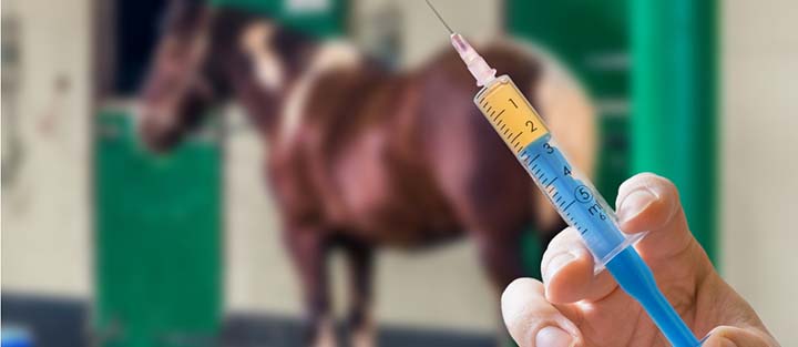 A farmacovigilância veterinária é o conjunto de medidas de monitoramento pós-comercialização, destinadas a detectar, identificar, avaliar, relatar e monitorar os eventos adversos que ocorrem com o uso de produtos de uso veterinários a partir do momento em