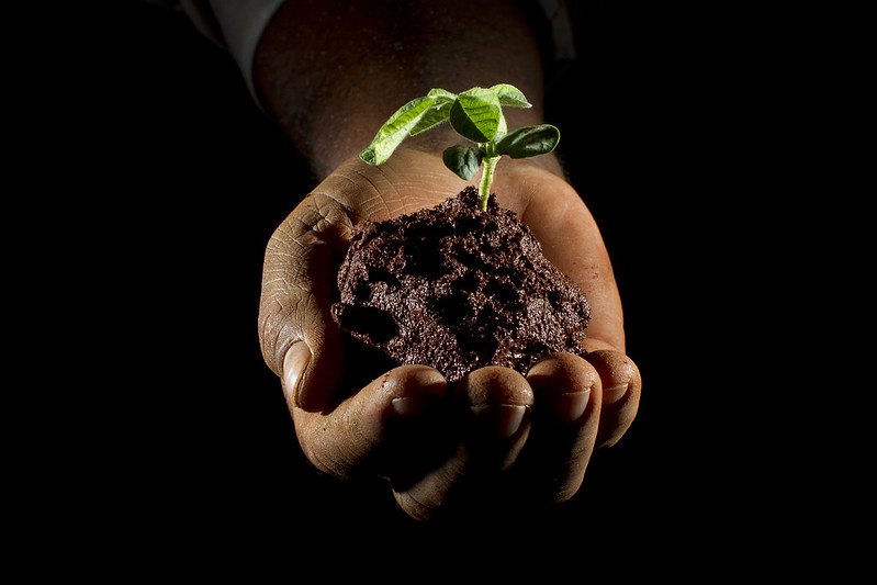 Dos produtos registrados hoje, dois são de princípios ativos inéditos no Brasil, sendo um de origem biológica e um de origem fitoquímica (feito a partir de plantas).Foto Sistema CNA/SENAR - Igo Estrela