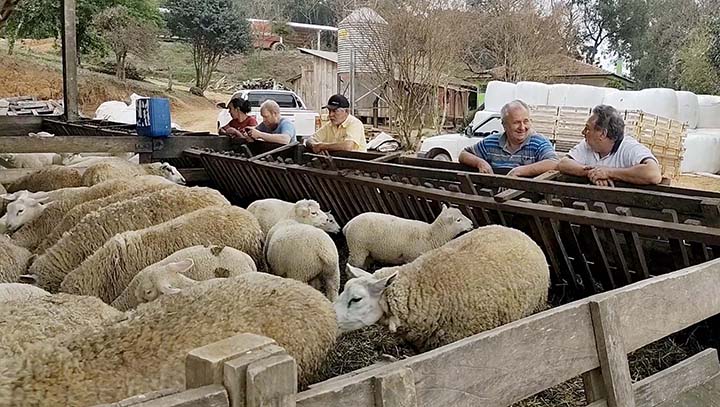 Criadores da Apisco fazem visita técnica à Agropecuária Boa Esperança, no bairro do Guararema, em Castro, e conhecem um sítio de terminação de ovinos. Foto Toninho Anhaia