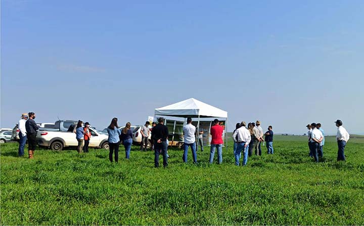  Dia de Campo teve a presença de aproximadamente 30 pessoas, dentre consultores, clientes e convidados.