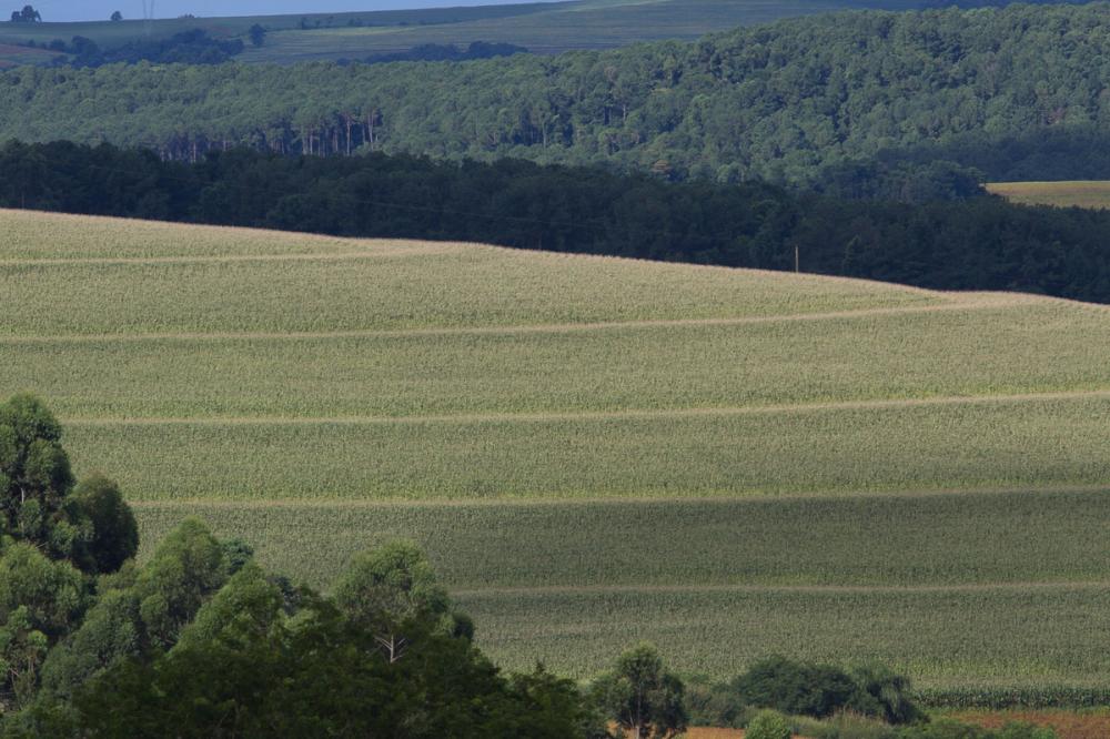 Existe um equívoco por parte dos agricultores que acham que Plantio Direto resolve qualquer problema de erosão. Primeiro que o produtor não vê, pois a palha fica em cima, mas a erosão acontece por baixo.