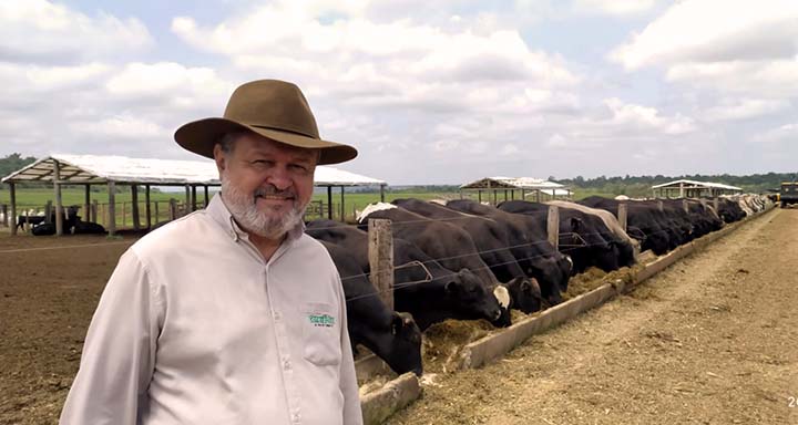 Especialistas dão detalhes do melhor cruzamento de Nelore com Angus para se chegar ao Brangus de alta qualidade genética
