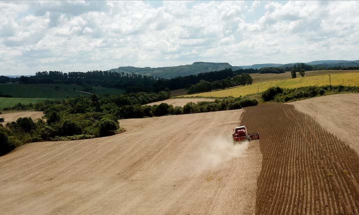 Para este novo ano agrícola, o cultivo das culturas em sucessão à colheita das culturas de primeira safra soma cerca de 21,5 milhões de hectares. Com isso, para todas as culturas cultivadas para a produção de fibras e grãos, são utilizados cerca de 50 mil