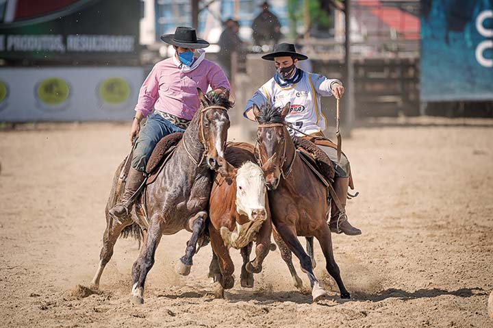 Com uma média final de 76,500 pontos, a dupla Mario dos Santos Suñe e Carlos Silva Loureiro de Souza foi consagrada a Campeã Nacional de Paleteada - Força A deste ciclo. Montando a égua Campana Espiga e o cavalo Campana Condado, ambos da criação de Mário 