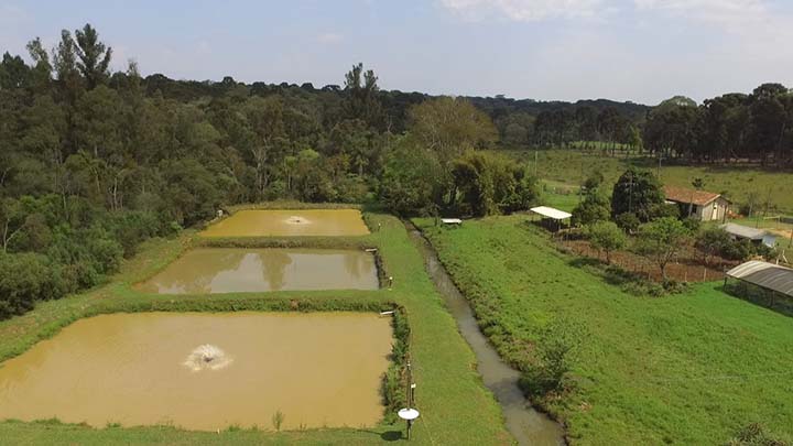 A Casa Familiar Rural de São Mateus do Sul mantém 45 jovens, com idade entre 14 e 17 anos, no curso de Técnico em Agroecologia que a partir do próximo ano passará a ser de Técnico Agrícola. Fotos IDR-Paraná.