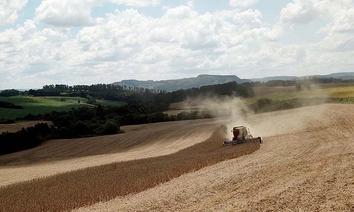 A participação em uma cooperativa de crédito rural, que consiste na associação de agricultores para a captação de recursos financeiros e viabilizar a atividade econômica de seus cooperados. Foto Toninho Anhaia