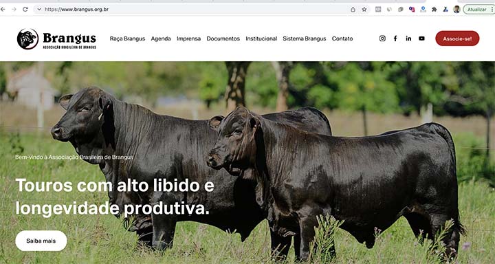Os animais ainda foram avaliados por três técnicos da ABB