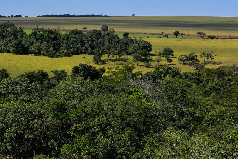 Em relação ao desenvolvimento sustentável do setor agropecuário, a CNA explica no posicionamento que a produção e a preservação sempre foram pautadas pela ciência e legalidade tendo como principal instrumento normativo o Novo Código Florestal, uma das leg