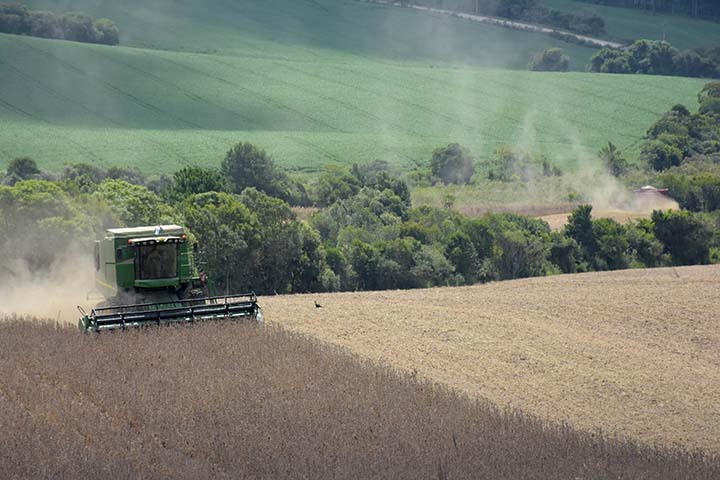 As exportações do agronegócio brasileiro já somam mais de US$ 93,6 bilhões no acumulado de janeiro a setembro de 2021. Foto Toninho Anhaoa