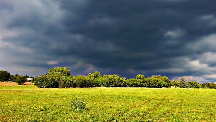 Foto IDR PARANÁ