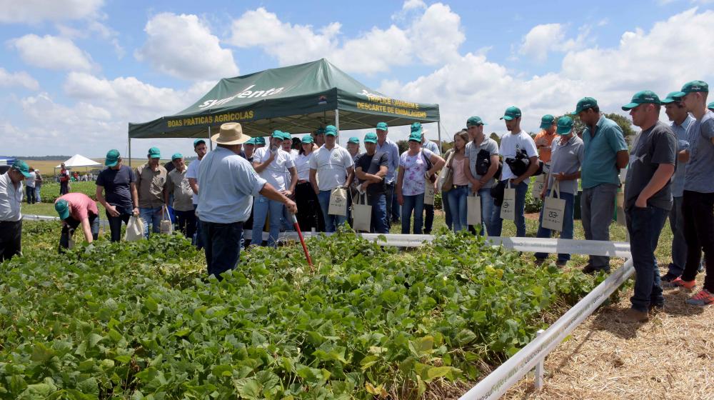 A edição deste ano Centro Sul Feijão e Milho, foi realizada no campo experimental da Fundação ABC em Ponta Grossa. Foto Toninho Anhaia.